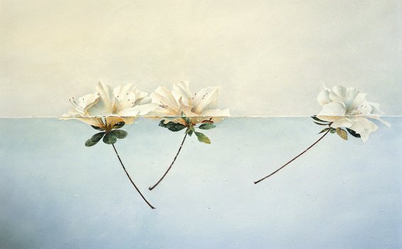 Azaleas Afloat